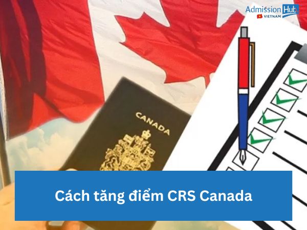 Bí quyết tăng điểm CRS