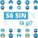 Vietnam Admission Hub - Tìm hiểu về số SIN